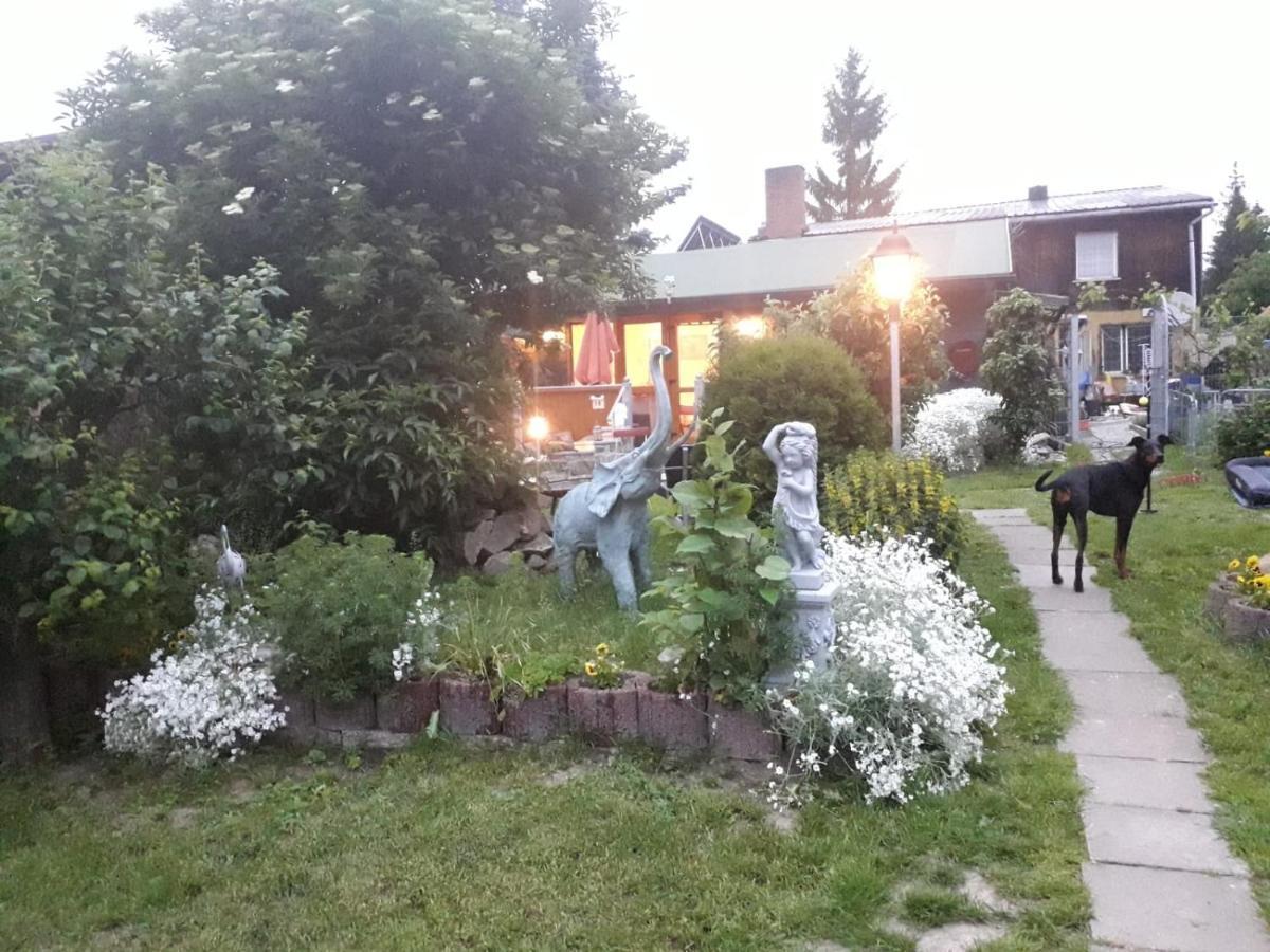 Ferienhaus Schulenberg Villa Friedrichsbrunn Exterior foto